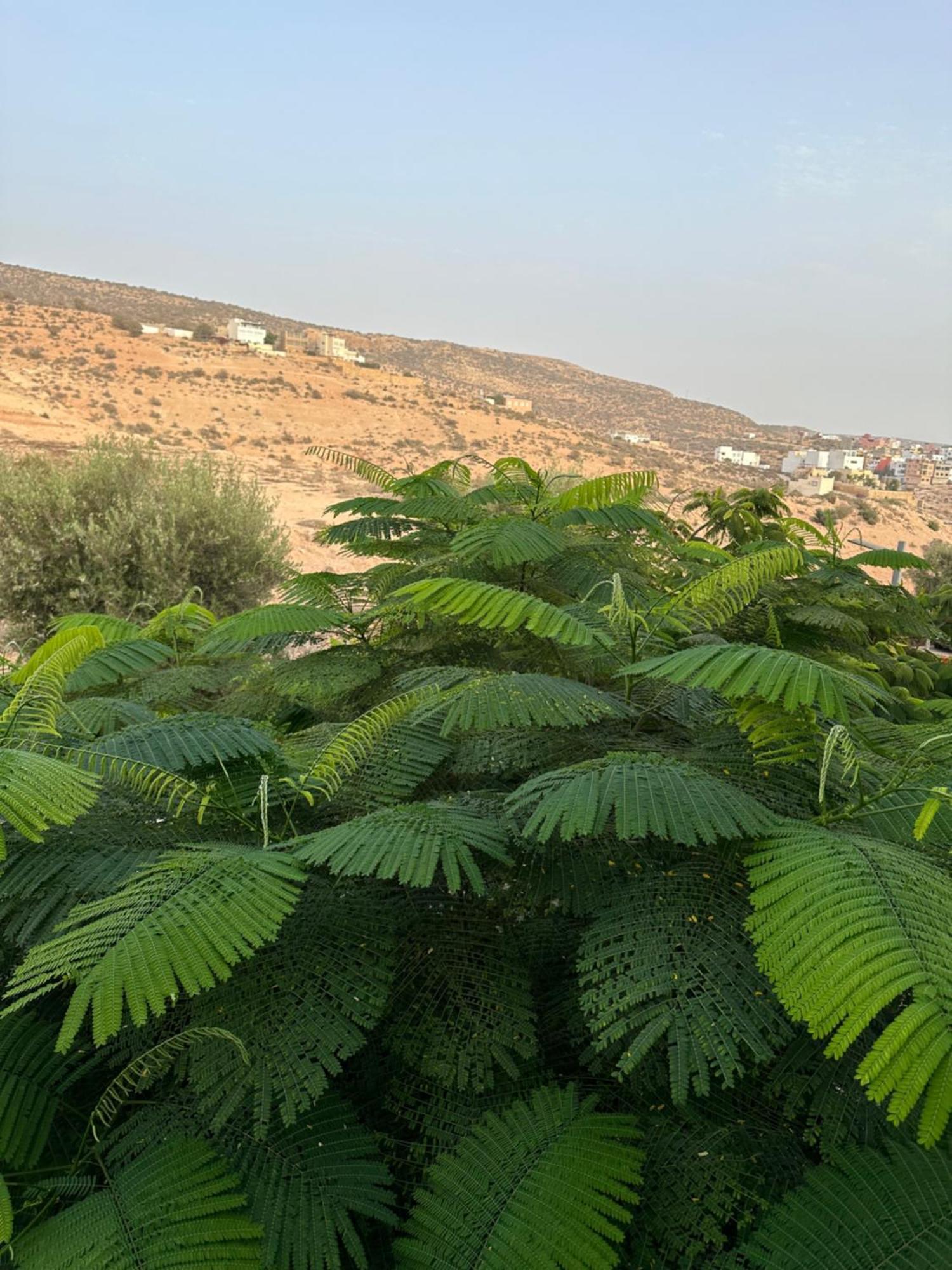 Villa 96 Residence Amda Taghazout Bay 外观 照片